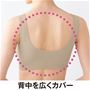背中を広くカバーして段差を軽減