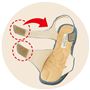 Wの面ファスナーで快適フィット<br>足幅や甲の高さに合わせて自分好みに調節できます。