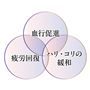 健康を目指す7分丈パンツです!