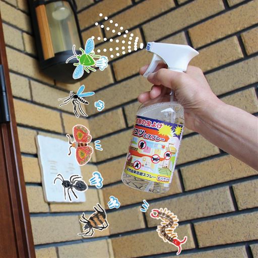 虫の侵入しやすい場所にシュッとひと噴き!