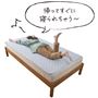 ブルー<br>お昼に干しても帰ってすぐに寝られちゃう～♪