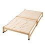 ナチュラル<br>ロータイプ