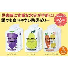 防災ゼリー ライフストック(12袋セット)