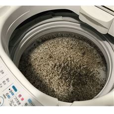 根こそぎ革命