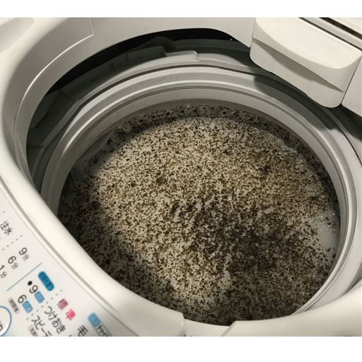 根こそぎ革命