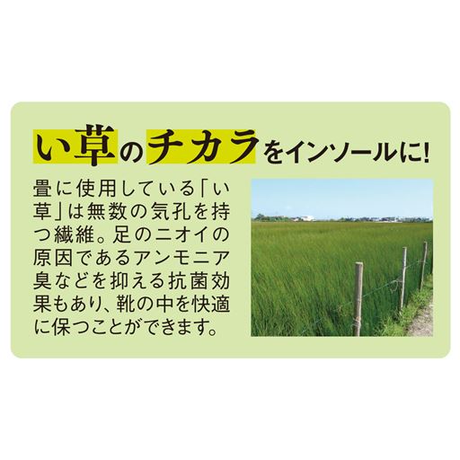 い草のチカラをインソールに!