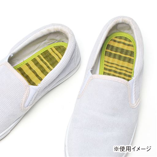 使用イメージ
