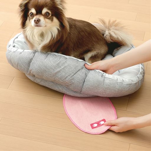 ペットの近く