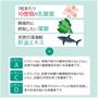 ビタミンA・D・C+葉酸、乳酸菌、鮫肝油精製油