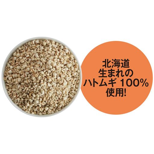 ※イメージ