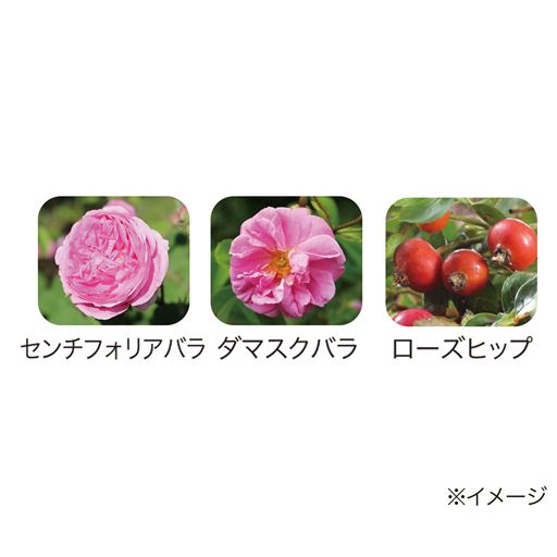 3種類のバラエキスを配合<br>※イメージ
