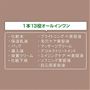 1本13役オールインワン<br><br>※B 年齢に応じた肌ケアのこと<br>※C ツヤを与える