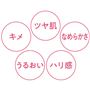 キメ ツヤ肌 なめらかさ ハリ感 うるおい