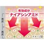 使う度にシワ改善! 肌の奥(真皮)までアプローチ。今あるシワをしっかりケアし、ハリ感のある肌へ導きます。