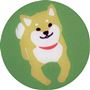 A(柴犬×梅) 生地拡大