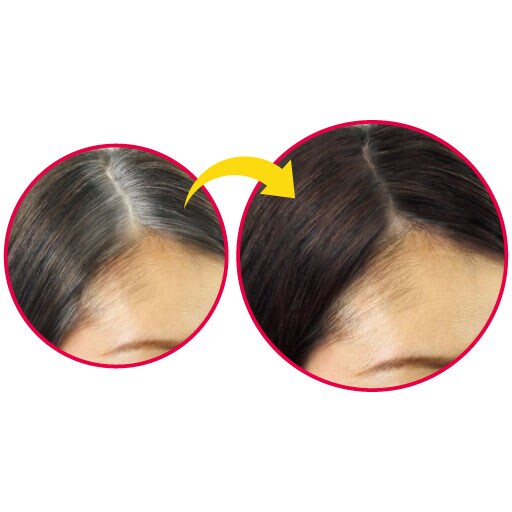 テンスターリタッチヘアカラーspプラス セシール Cecile テンスターリタッチヘアカラーspプラス セシール Cecile