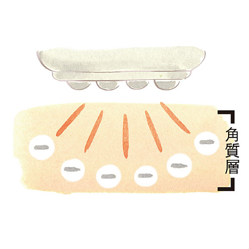 美顔器 リフティ セシール Cecile