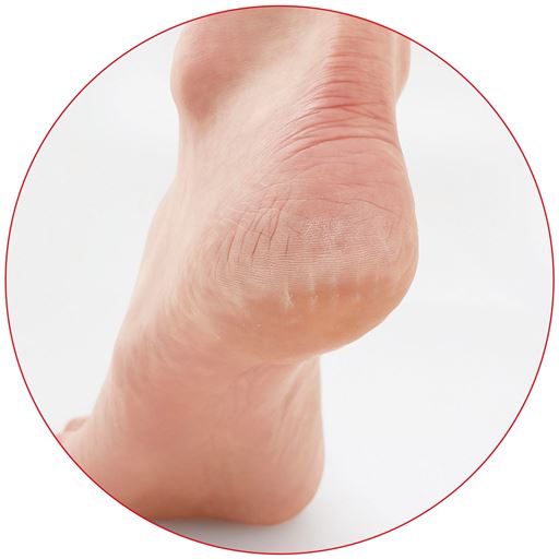 ツルピカかかと磨きファイル セシール Cecile