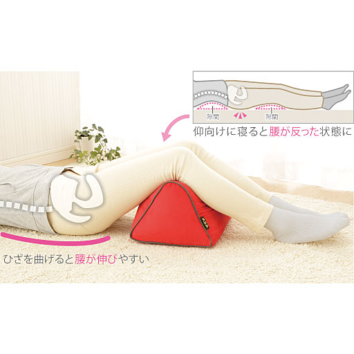 勝野式 Rakuひざクッション セシール Cecile