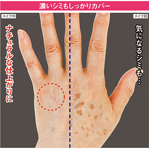 ひそか美人 パーフェクトコンシーラー セシール Cecile