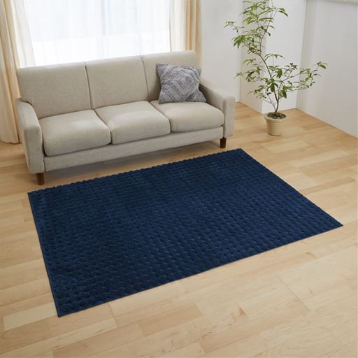 ラグ ふっくら感のあるぽこぽこタイプ 床暖房ホットカーペット対応 手洗いok セシール Cecile