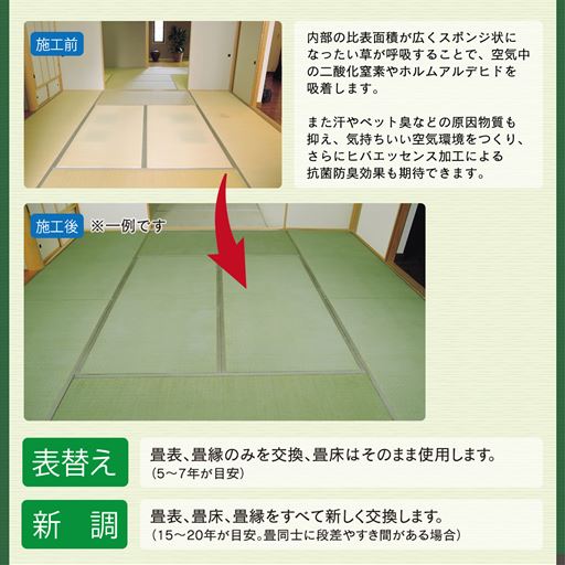 畳表替え 国産い草使用 畳の表替え施工 梅 セシール Cecile