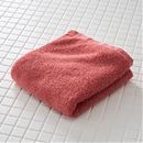 H(赤紅/あかべに)