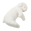 B(ひつじ/ブラン)