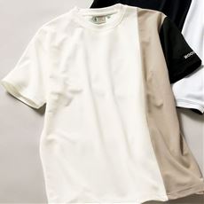 切り替えデザインTシャツ(WOODS Field)