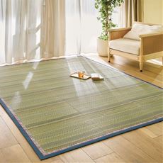 い草ふっくらナチュラルラグ(防ダニ・はっ水)