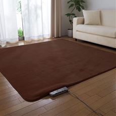ラグ(洗えるふわふわミンク調)/ホットカーペット・床暖房対応
