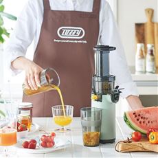 【アウトレット品】Toffyミニスロージューサー K-BD4