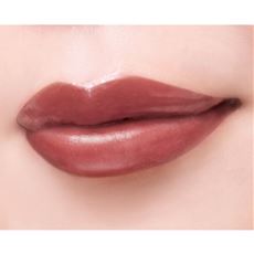 プレミアムリュクス リップカラーモイストヴェール