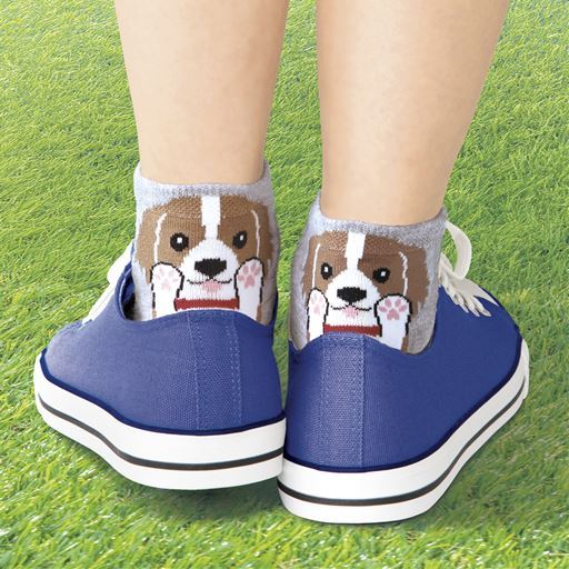 【レディース】 ひょっこり可愛い デコちゃんソックス6足組 - セシール 【レディース】 ひょっこり可愛い デコちゃんソックス6足組 - セシール