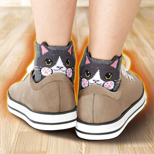 【レディース】 ひょっこり可愛い 暖かにゃんこソックス6足組 - セシール