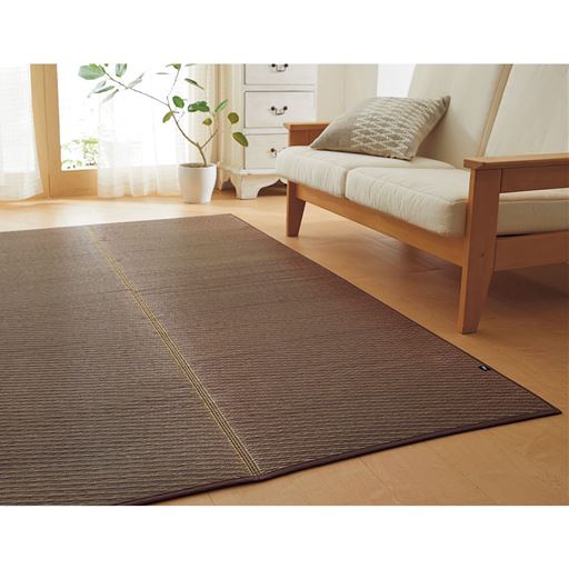 い草ラグ ソリッド 抗菌防臭 日本製 セシール Cecile