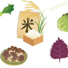 お米や野菜の保存方法、しっかりおさえて、お買い物上手になろう