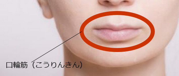 口輪筋とは、唇の周りを囲んでいる筋肉。どんな働きをしているのでしょう？