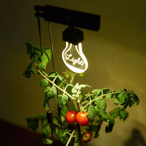 室内で手軽に植物を育てられる栽培ライト