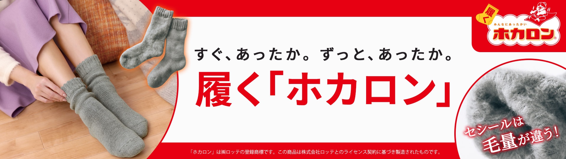 ホカロンソックス