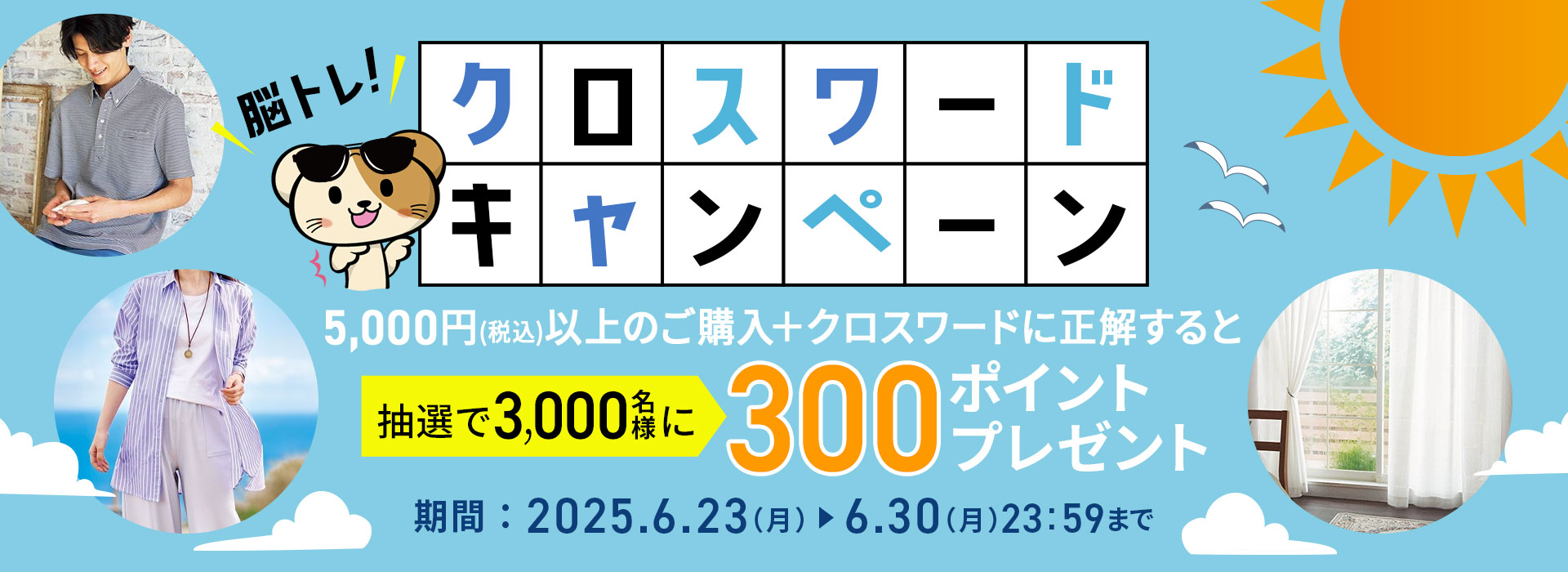 キャンペーン