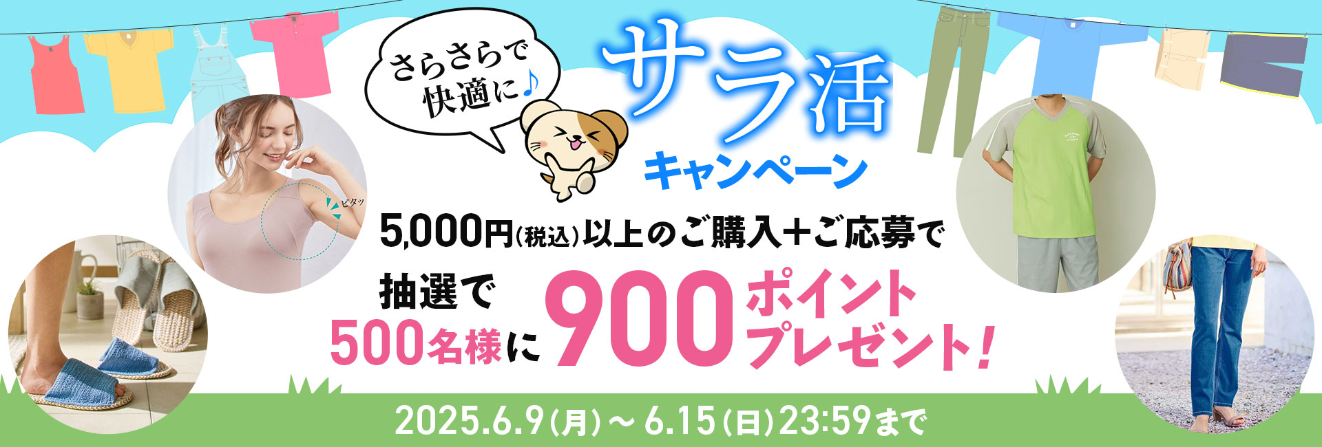 キャンペーン