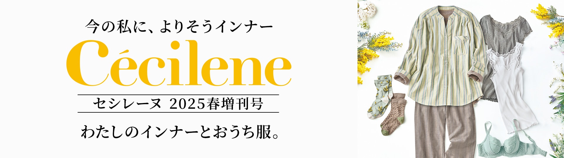 セシレーヌ