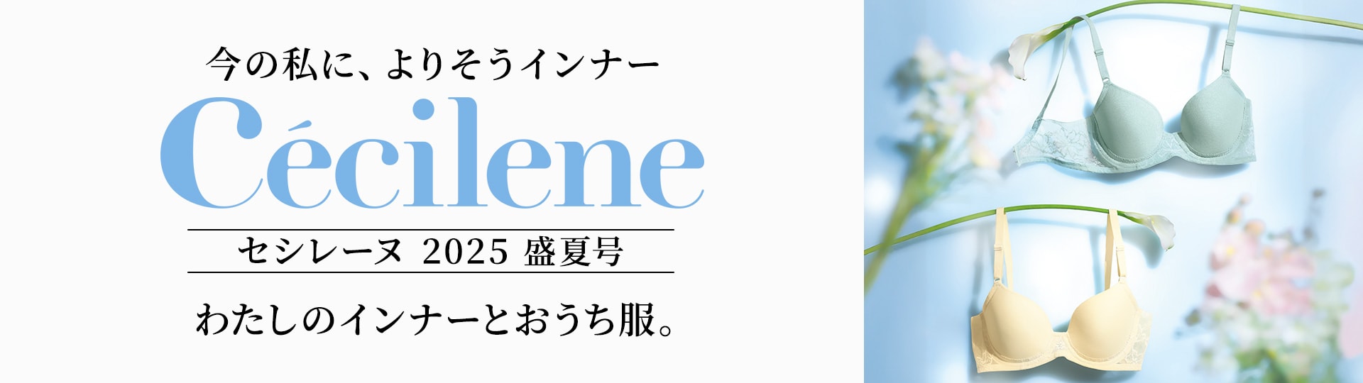 Cécilene (セシレーヌ)