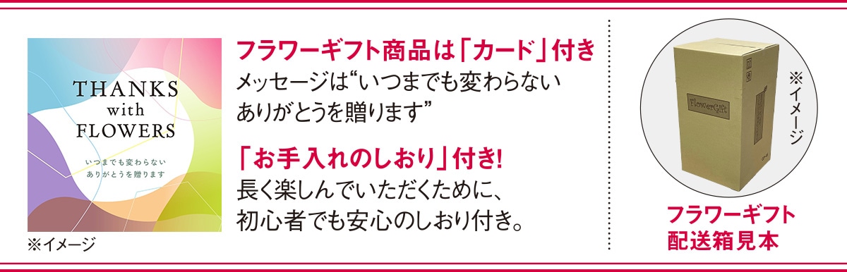フラワーギフト商品は「カード」と「お手入れのしおり」付き
