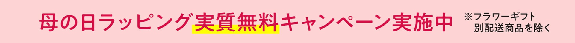 こだわりの逸品でお出かけも軽やかに