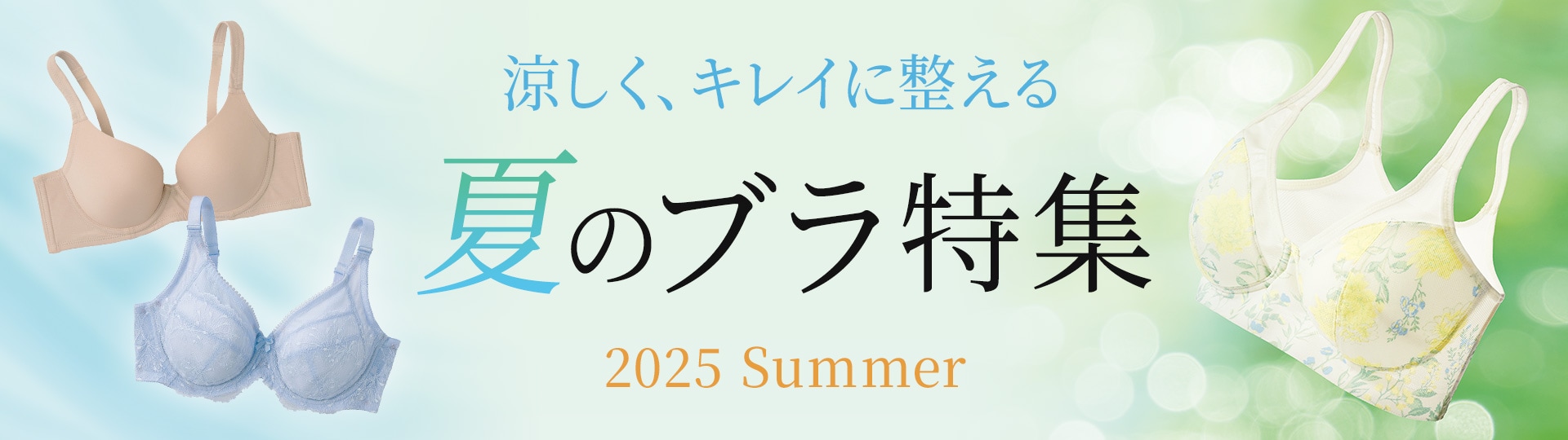 おすすめブラ特集