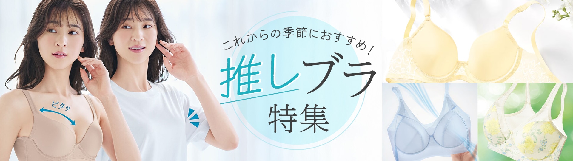 おすすめブラ特集