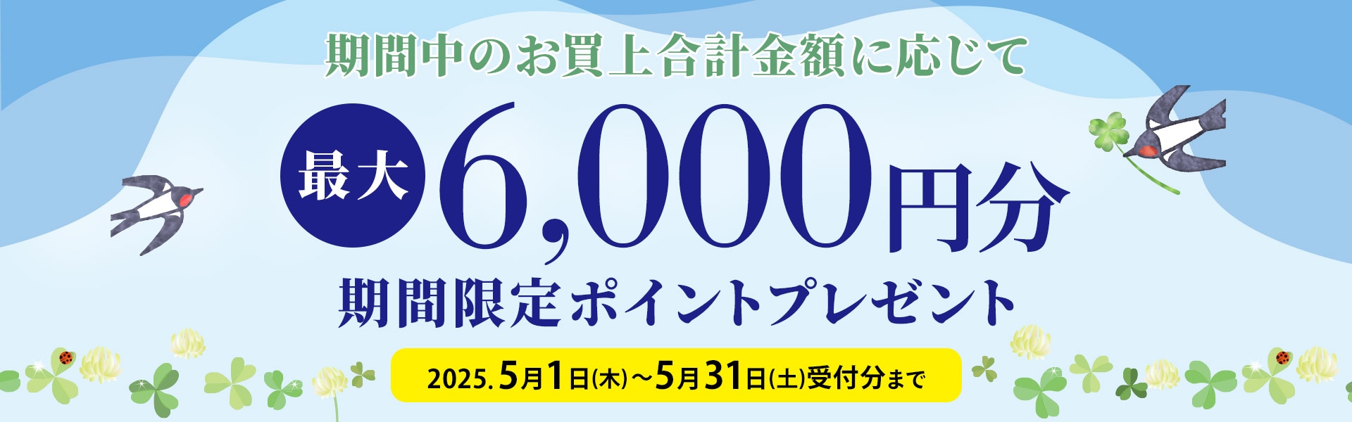 期間限定ポイントプレゼント