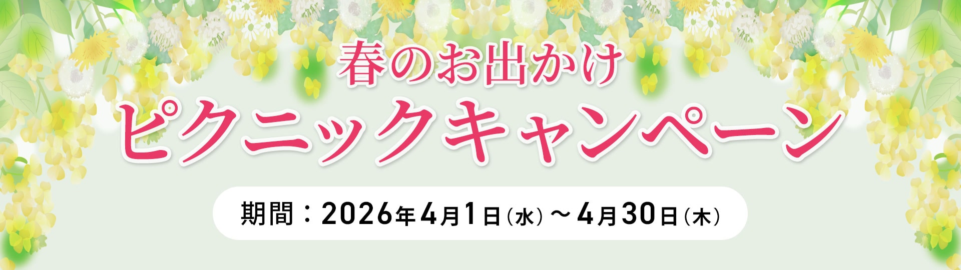 ピクニックキャンペーン